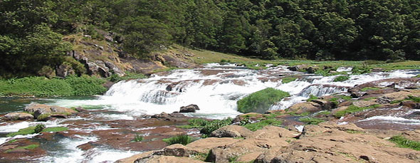 Cheapest Ooty Hotels Tariff