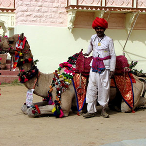 Bikaner - Festive Celebrations