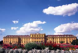 Austrian Delights